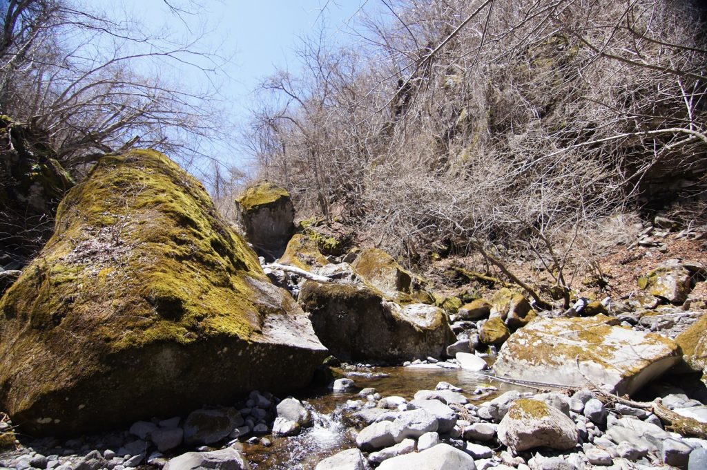 八千穂高原ボルダー
バルーン岩(奥)とピラミッド岩(手前左)