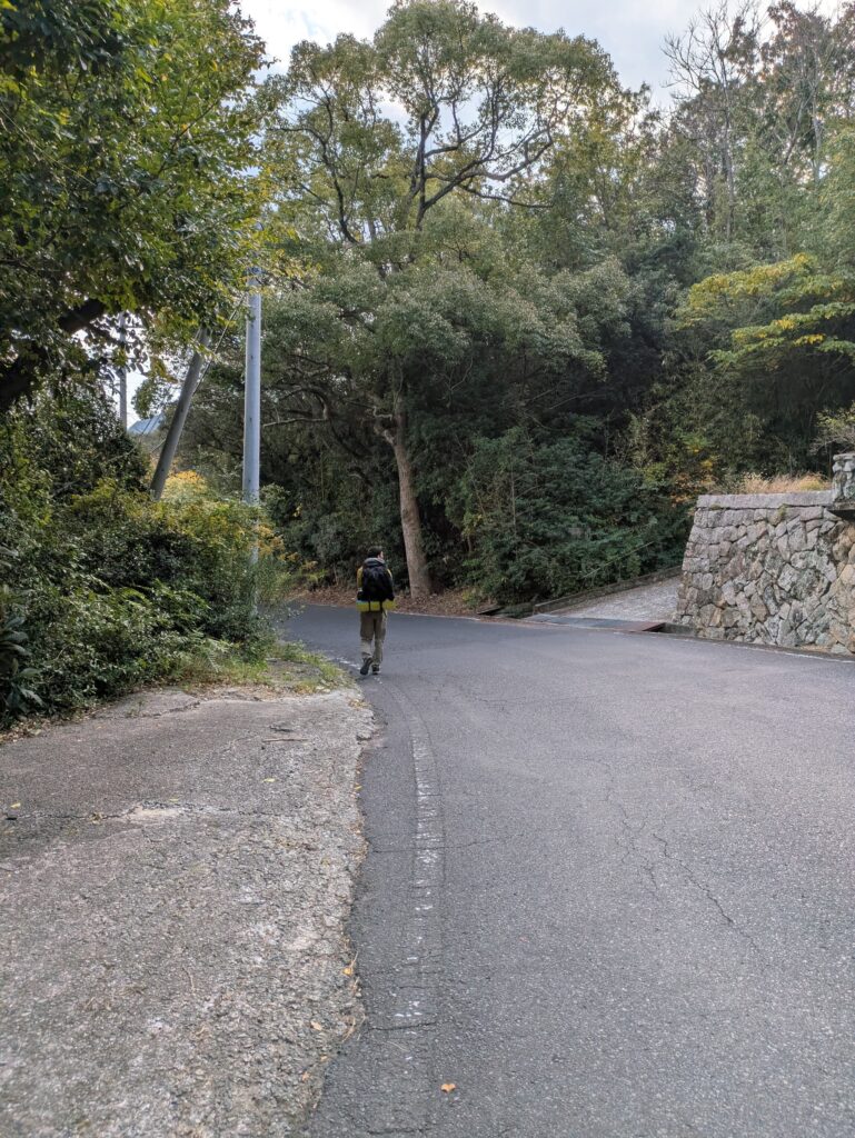 インスボンへのアプローチの目印になる大木