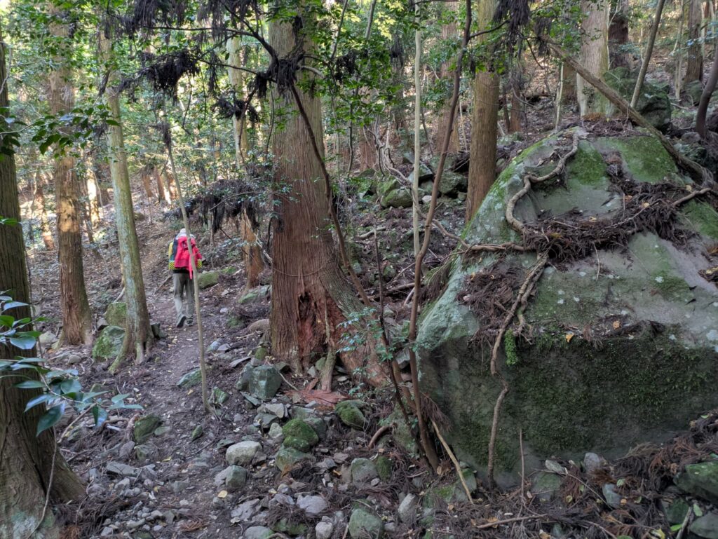 駐車場から赤嶽へのアプローチ