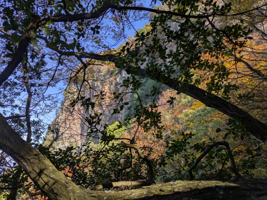 植生のせいで見通せない赤嶽