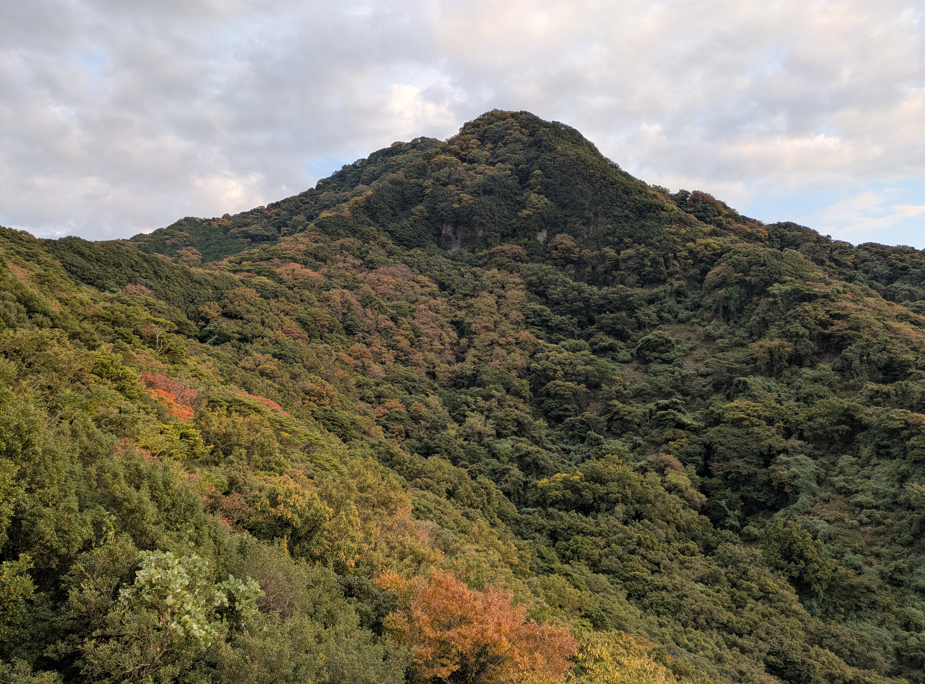 鷲頭山の紅葉円形劇場が見える